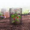 6 Pack Plant Protector from Animals 12.6'' Dia. x 14'' H Metal Plant Cage