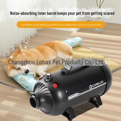Фен для домашних животных Chaolun - коммерческий фен для собак с отрицательными ионами