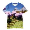 2026 Cross-border Amazon Short Sleeve Cartoon Minecraft 3D Digital Printing Crew Neck Loose Short Sleeve T-Shirt Factory