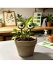 Funny Stinky Face Pottery Eye Decoration 3D Stereoscopic Plant Insertion Sign Garden Miniature Sculpture Pottery Ornament
