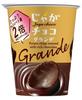 Бурбон Jaga Chocolate Grande 48 г x 12 Официальный