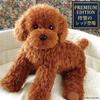 Ninian and Kino Plush Toy Realistic Toy Poodle Freely Approximately 33cm Lifelike Pet Dog, (Red), Poseable, Long,