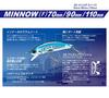 3D Inshore Minnow 110mm for Sea Bass YO-ZURI (F) GHIW, Weight 20g, R1213-GHIW-Sardine,