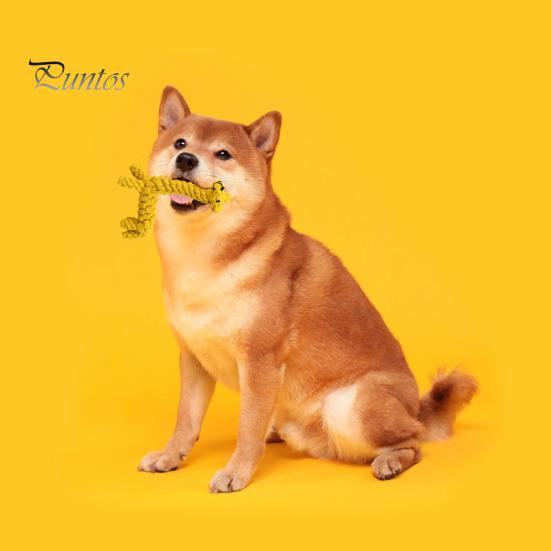 Interactive Cotton Rope Dog Toy Cute Rabbit Bear Giraffe Octopus Shape Dog Chew Toy Bite-resistant Pet Squeaky