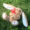Plush Hug Flower Bunny Toy With Pp Cotton Filling For Easter Gift Girls And Kids