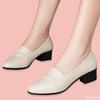 Fashion Women's Comfortable Coarse Heel Shoes Fashion Soft Leather Flats Black Pointed Work Footwear Casual Elegant Ladies Singles Shoes