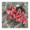 Bouquet Simulated Orchid For Wedding Decoration Home Living Room Arrangement