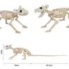Украшение ужасов на Хэллоуин Мышь Летучая мышь Паук Скелет Украшение Пластиковый скелет животного Украшение места ужасов Скелет Украшение