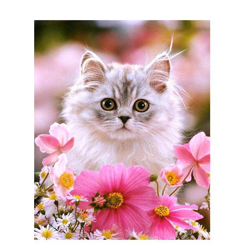 5D Diy Алмазная вышивка животное полная круглая алмазная живопись кошка Алмазная мозаика вышивка крестом подарок ручной работы