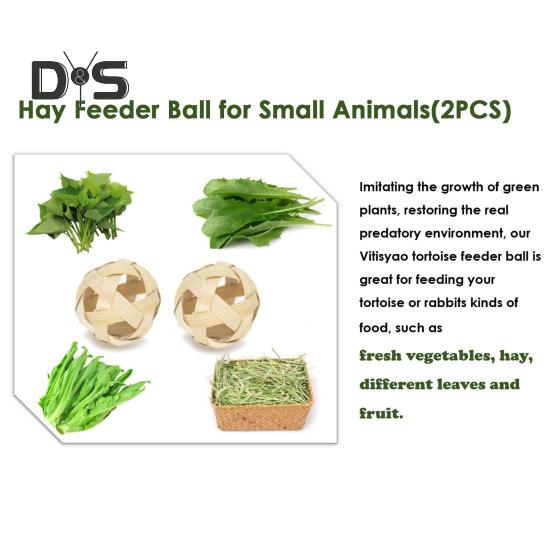 Мяч для кормления черепахи и набор для обучения скейтборду, набор игрушек для маленьких животных, фруктов, овощей и мини-скейтборда