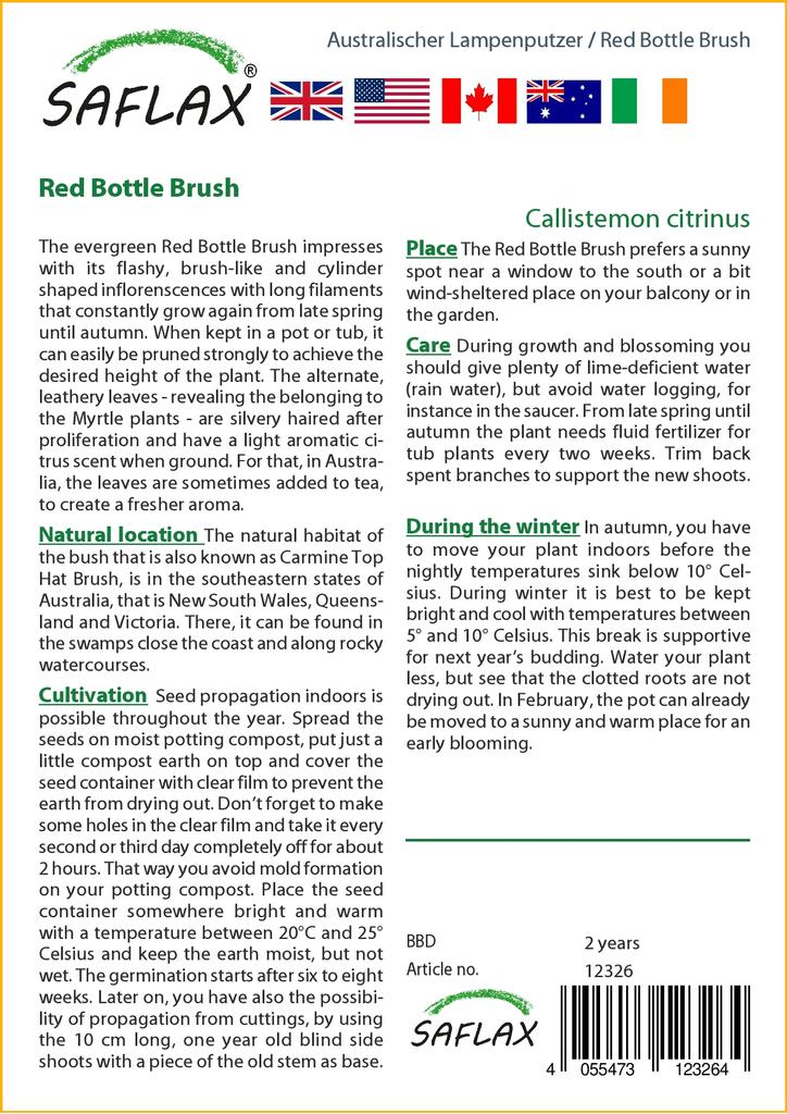 SAFLAX Красная щетка для бутылок - 400 семян - Callistemon citrinus