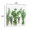 СТЕКЛЯННАЯ ПАНЕЛЬ ДЛЯ КУХНИ 60x65 Специи