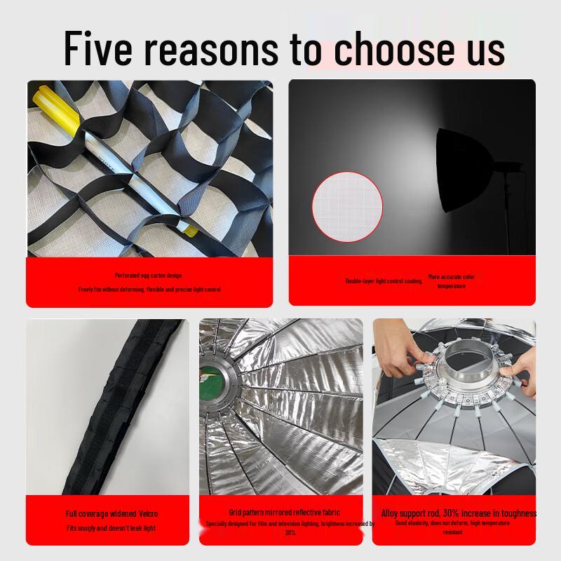 Beiyang Professional Photography Softboxes & Light Stands