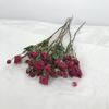 Jiunan Multiflora Dried Rose Bouquet for Living Room Decoration and DIY Arrangements.
