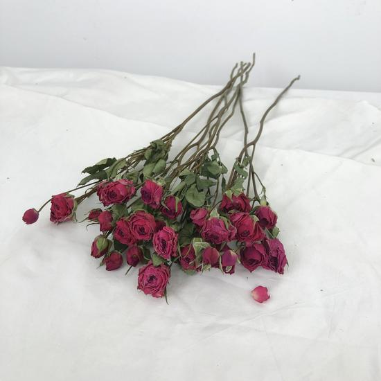 Jiunan Multiflora Dried Rose Bouquet for Living Room Decoration and DIY Arrangements.