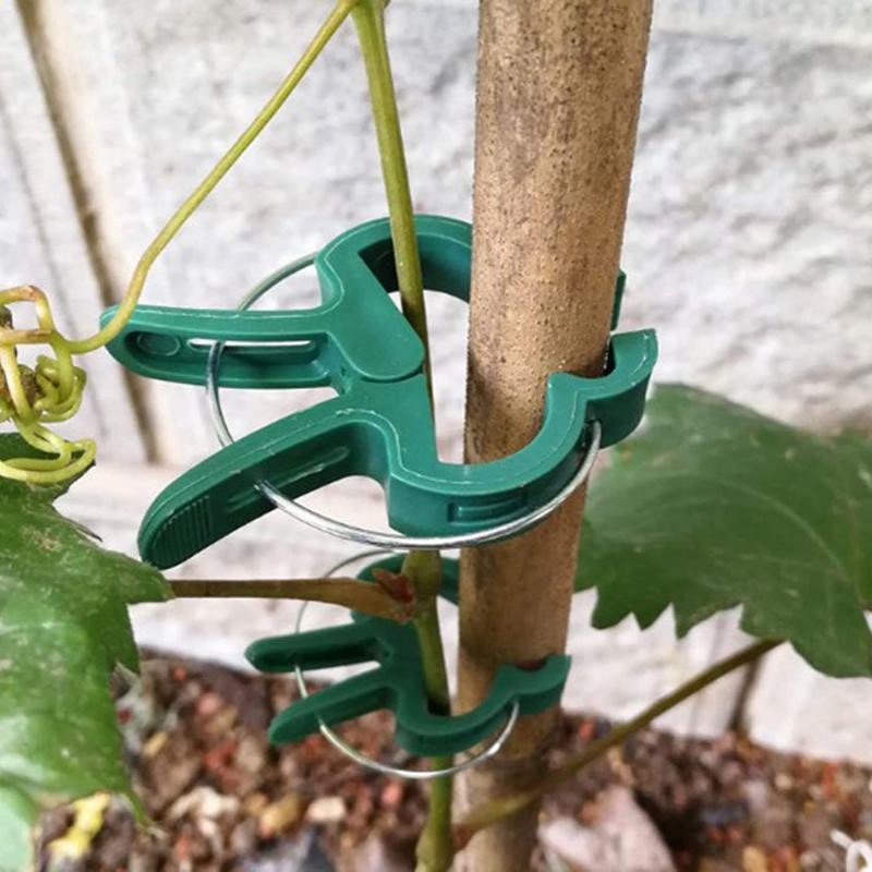 1/5/10/20Pcs Plant Fixed Clips Reusable Garden Bracket for Fixed Plants Vine Flower Seedling Tomatoes Support Garden Supplies Garden Tools