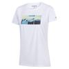 Regatta Womens/Ladies Fingal VIII Mountain T-Shirt