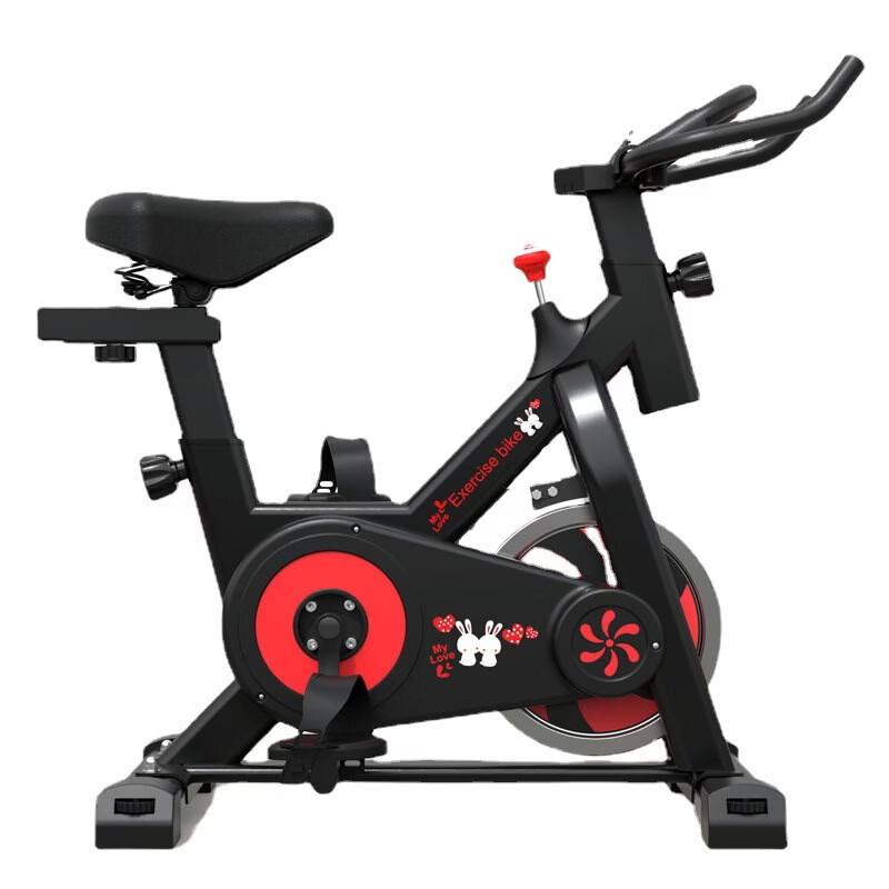 TLXT Home Indoor Exercise Bike CN plug (adapter included)