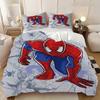 Boys' bedding set 3D printed duvet cover Superhero Bedding Set Avengers Quilt Duvet Set Single Double Queen Bedding Set Gift