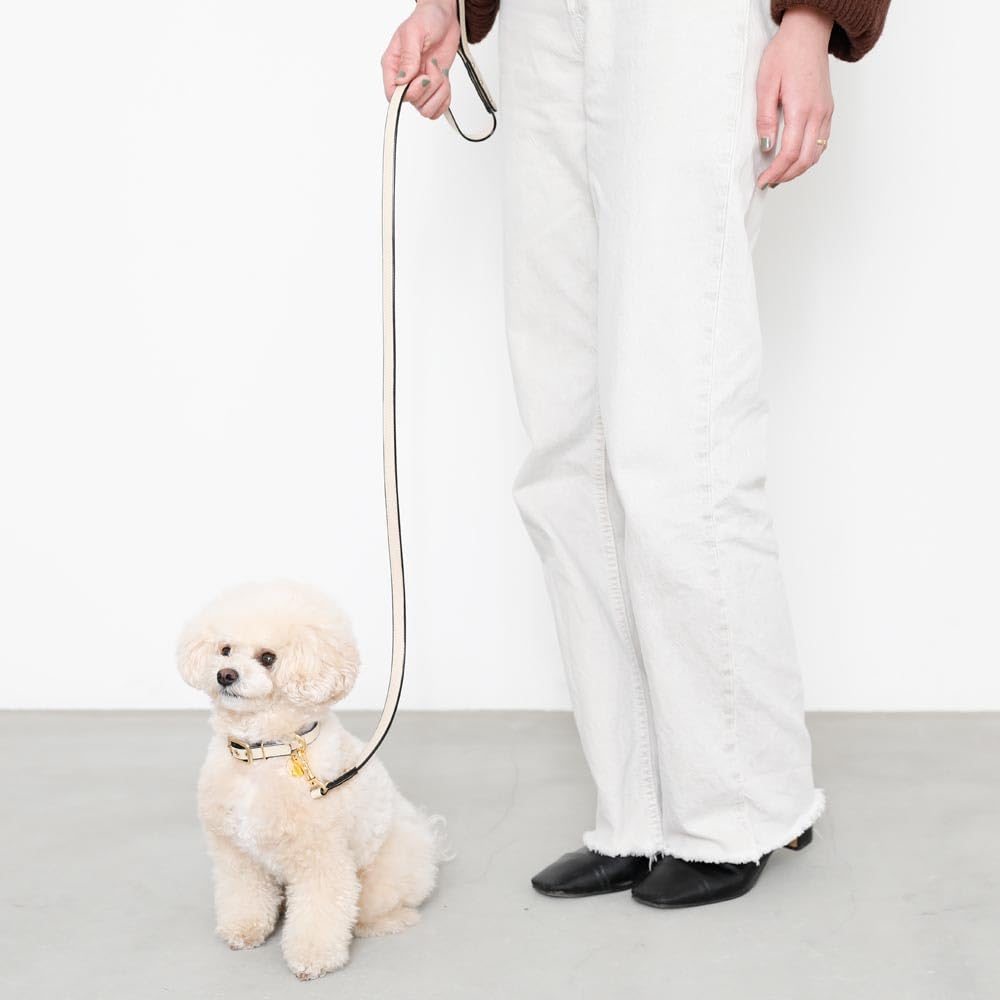 Кожаный поводок для собак мелких и средних пород, цвет мокко и коровья кожа для прогулок и выездов, Monchéri [Двухцветный поводок] (БЕСПЛАТНО Слоновая кость)