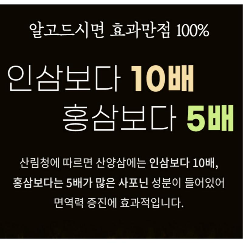 8-year-old Wild Ginseng Containing the Spirit of Gangwon-do