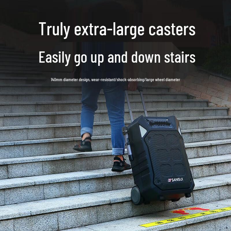 Sansui D12 Outdoor Karaoke Speaker with Wireless Mic