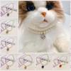 Artificial Pearls/Metal Rhinestones Cat Collar Decorative Pet Bling Princess Collar  for Puppy Cats
