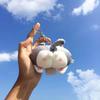 Cute Peach Butt Corgi Butt Small Doll Pendant Plush Pendant Butt Doll Keychain Bag Pendant