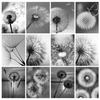 DIY Diamond Painting Black and White Dandelion Cross Stitch Kit Mosaic Art Diamond Painting Full Circle/Square Diamond Home Decoration