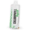 Хлорофилл Жидкий, Chlorophyll Liquid, 1000мл (70288003)