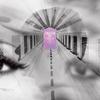 Виниловая пластинка CORNELIUS Muchumu Dream In Dream WPJL10225 WARNER MUSIC JA 2024 Япония Японский Поп-Рок