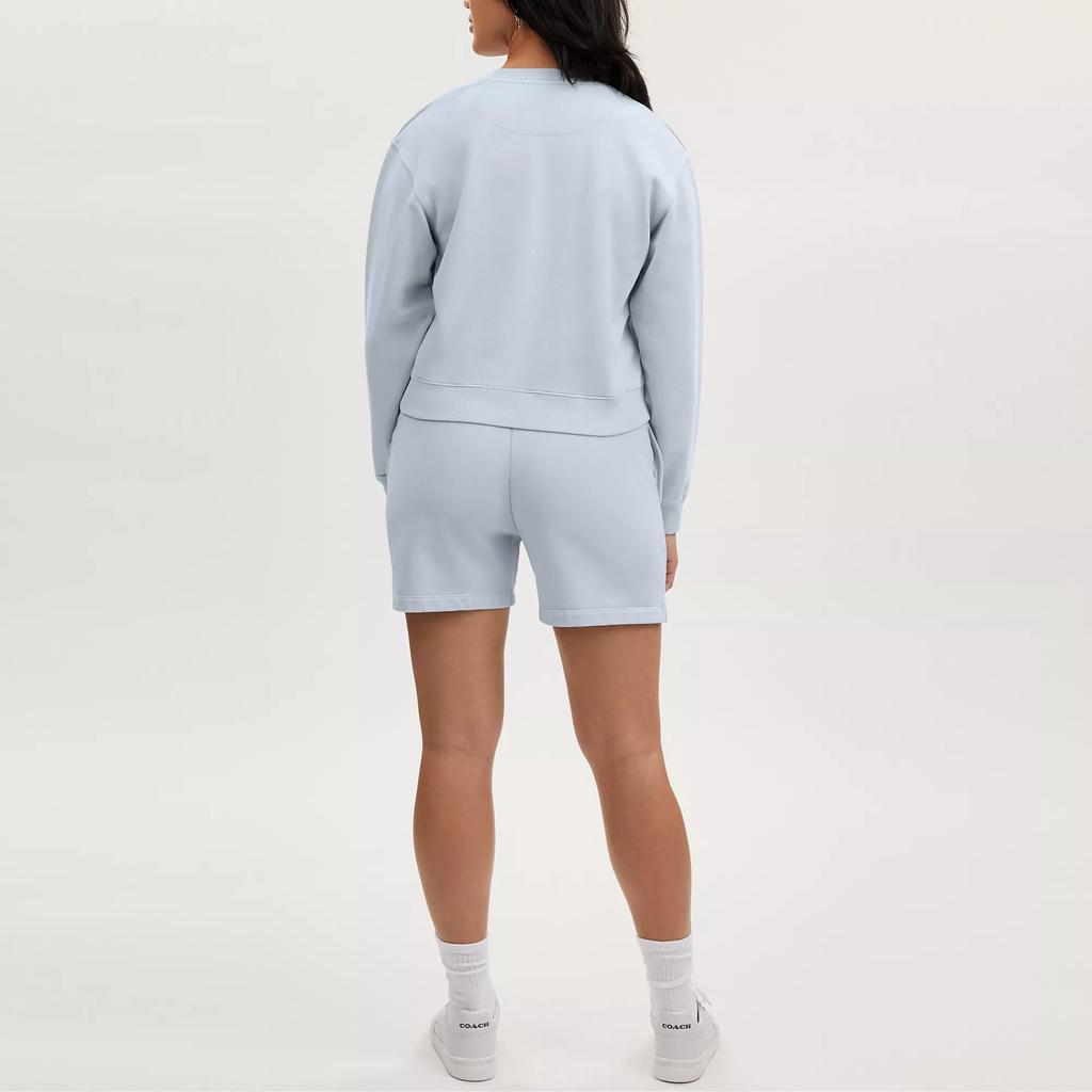 Coach Крем для одежды Crewneck Dye