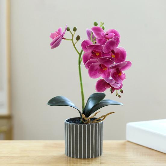 Artificial Potted Plant Faux Moth Orchid Bonsai Desktop Artificial Potted Phalaenopsis Flowers for Home Dining Table Office Desk Decoration