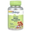 True Herbs, Irish Sea Moss, 500Mg, 100 Veggie Caps