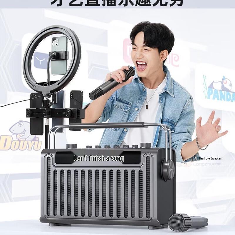 Портативная уличная караоке-колонка SANSUI E96 (Китайская версия)