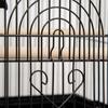 Bird Cage with Carrying Handle and Removable Tray, Metal and Plastic, 50.5x41x63 cm, Black