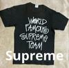 [Б/У] старый WORLD FAMOUS SUPREME TEAM stussy