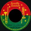 7-дюймовая пластинка DELROY WILSON I Want To Love You NS003 Neville Sounds UK Reggae Ska Dub Б/у