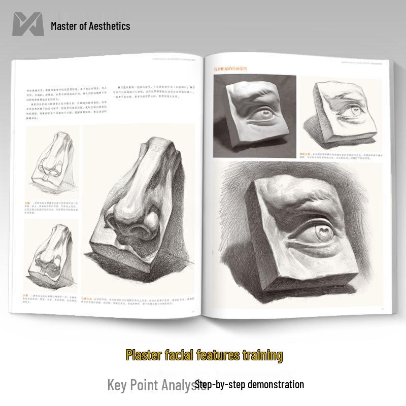 Understanding Sketch Plaster Casts: 8K Exam Art Guide & Album