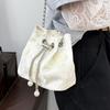 This Year's Popular Small Bag Women's 2025 Summer New Cloth Bag with Bucket Bag Versatile Chain Messenger Bag
