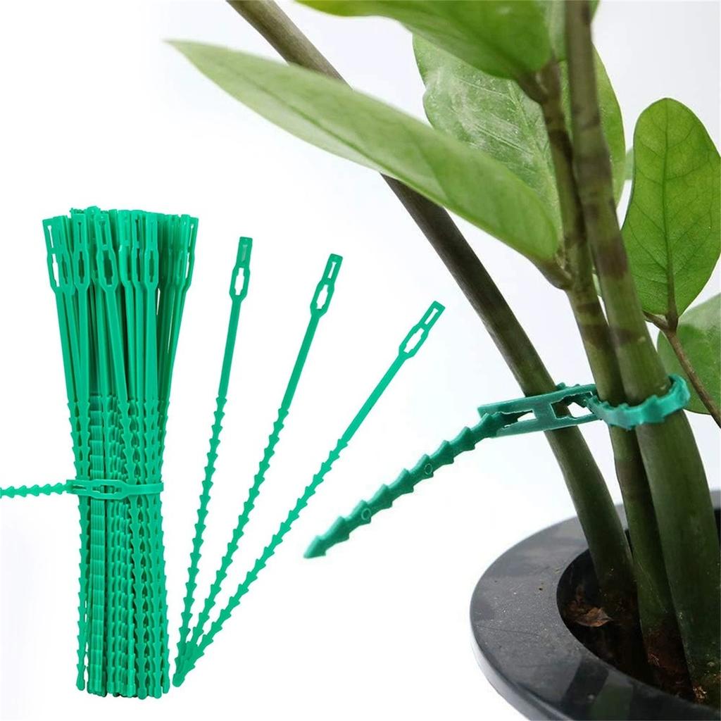 Reusable Adjustable Plant Ties, Garden Climbing Plant Wire, Plastic Multi-Purpose Plant Support Ties for Vines and Flowers