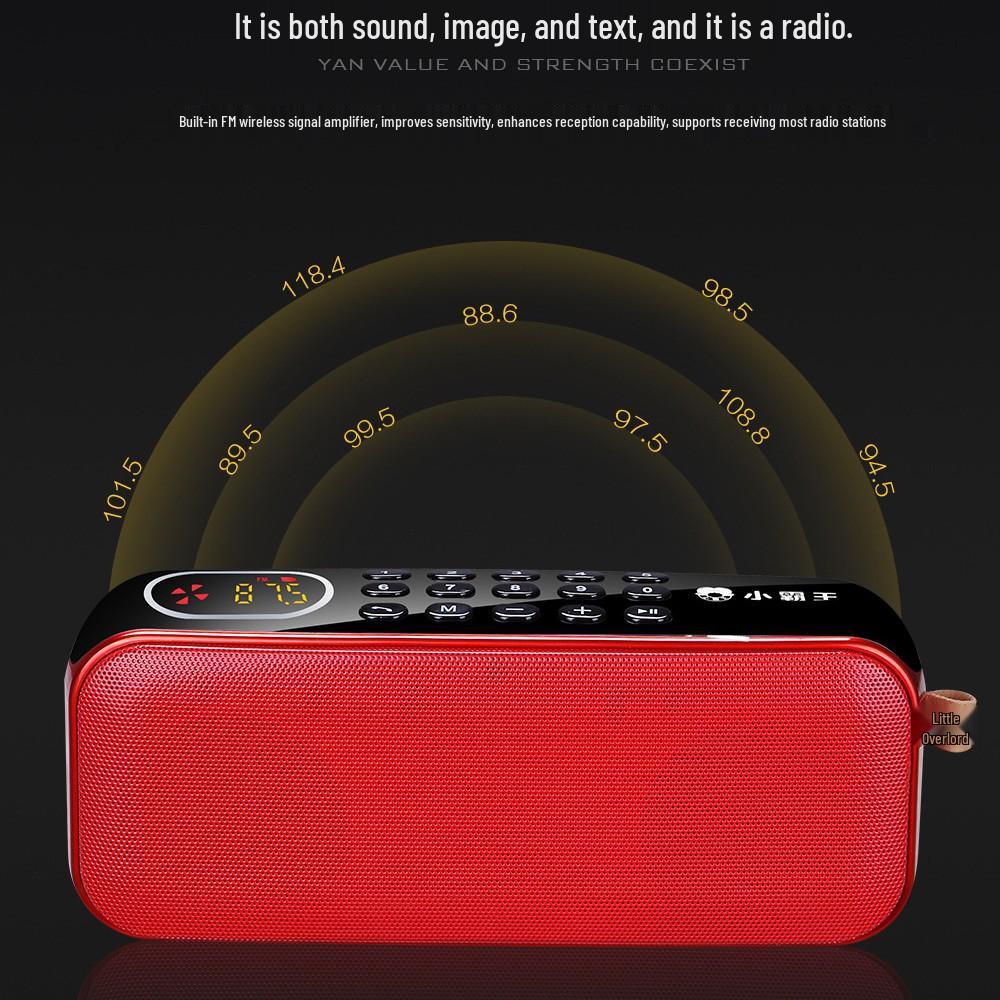 Bluetooth-колонка Little Overlord D82: Поддерживает карту/USB для прослушивания FM-радио.