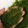Material Garden Artificial Moss DIY Accessories Micro Landscape Decoration Artificial Grass Powder