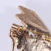 Shape Brooch Pin Alloy Musical Instrument Shining Rhinestone Decor Coat