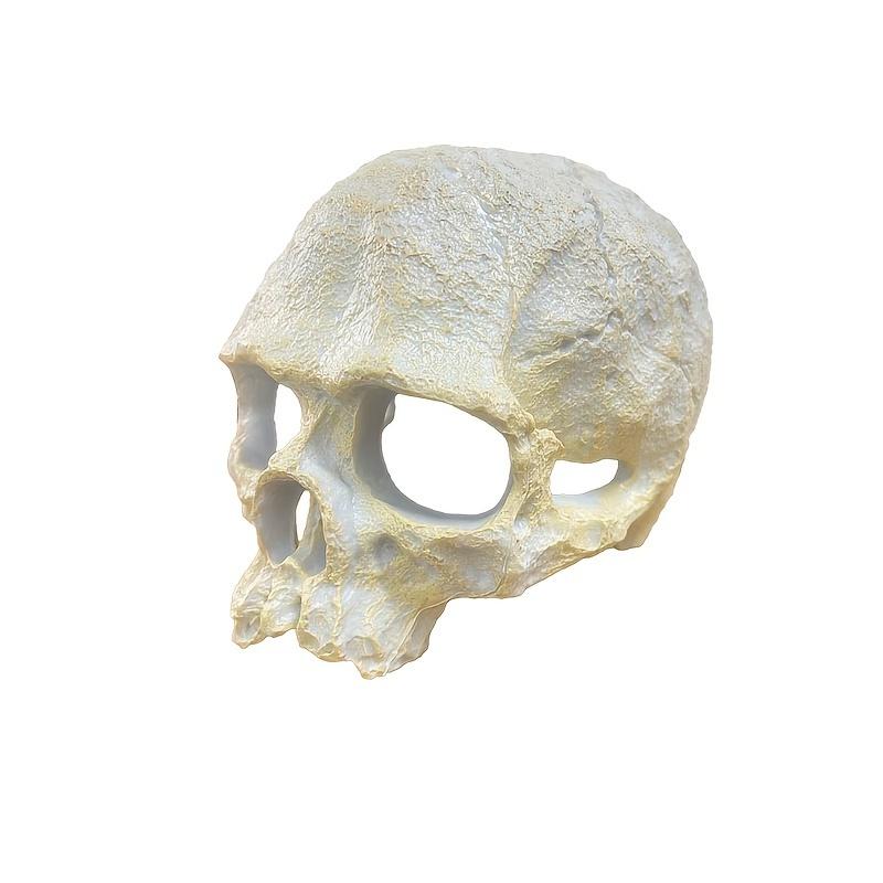 Аквариумный декоративный череп на тему амфибий, АБС-смола, пещера-укрытие для рептилий для террариумов и вивариев