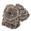Органический чай из гриба Рейши (Turkey Tail) Травяной чай Натуральная поддержка энергии 500 г