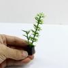 3pcs Multistyles Green Leaves Plant Pot Mini Bonsai Garden Home Model  Doll House Accessories