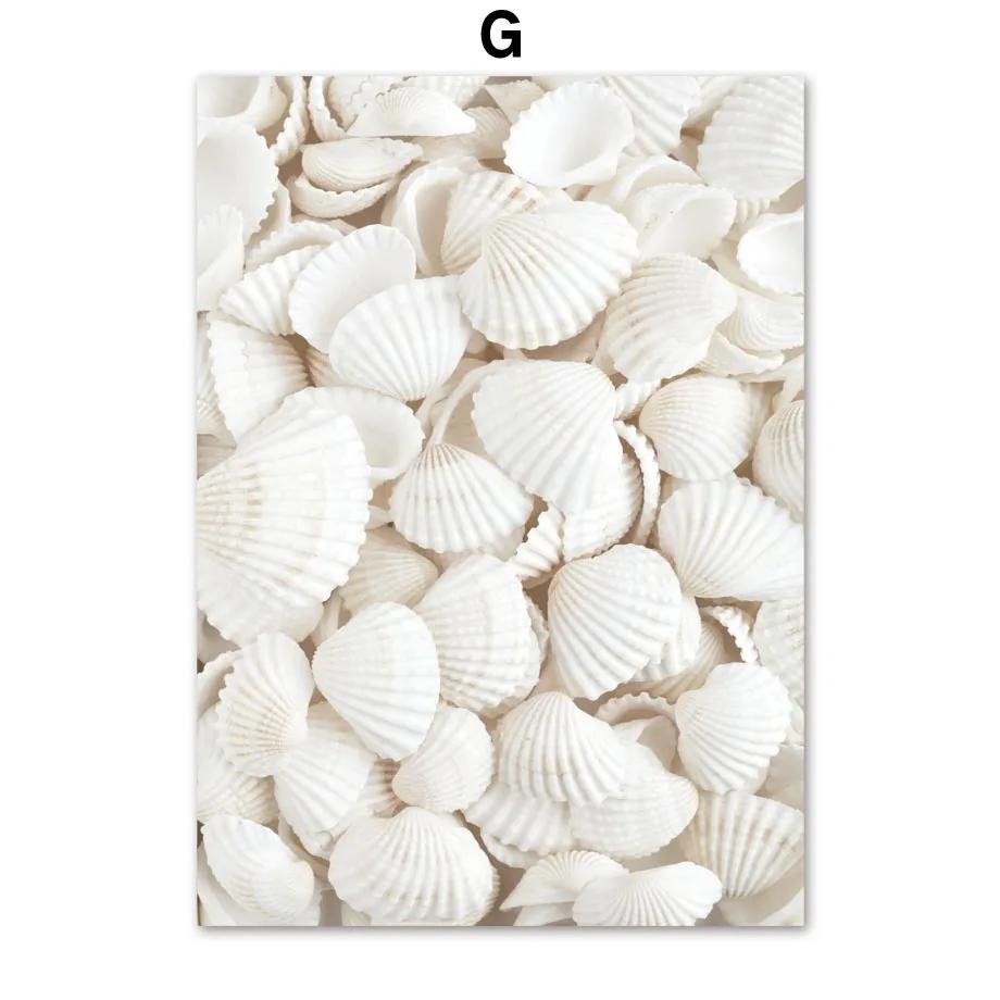 Beach Shell Starfish Bridge And Prints Wall Art Nordic Posters Canvas Painting Wall Pictures For Living Room Marine Style Decor