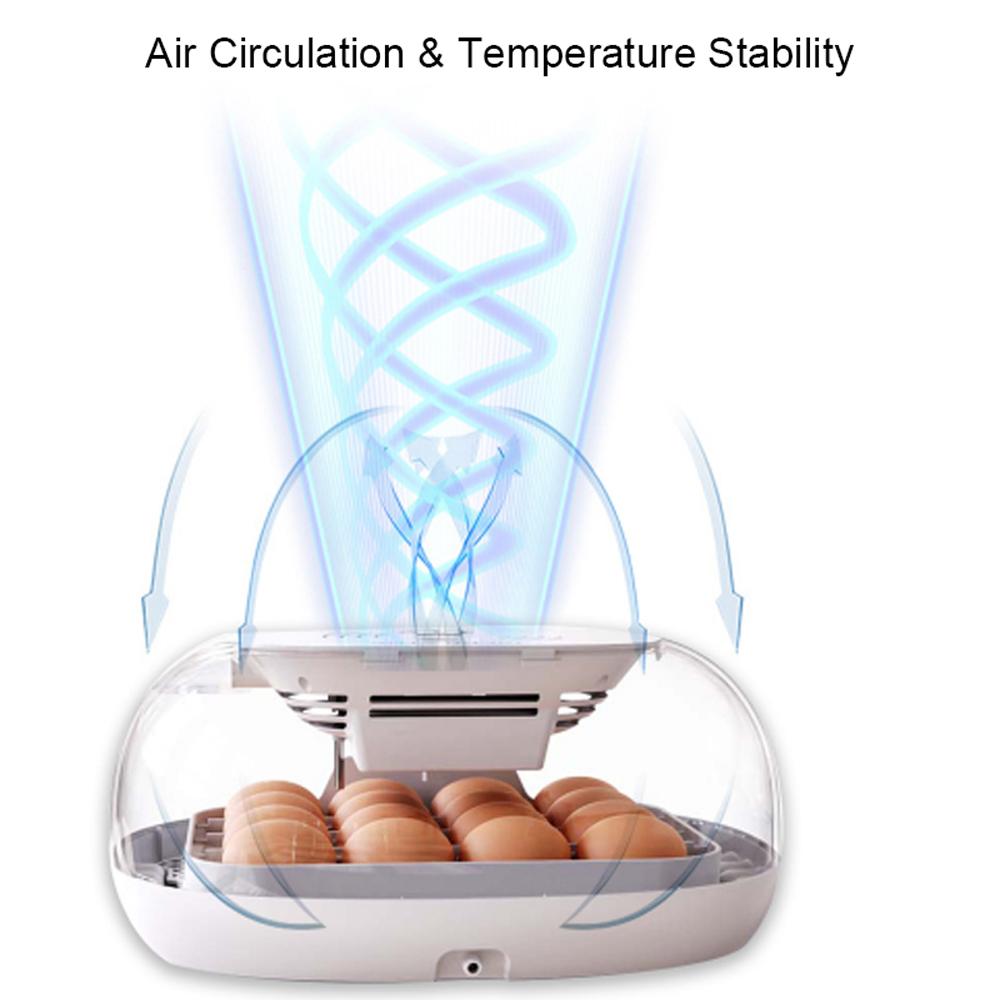 Egg Incubator for Hatching with Automatic Egg Turning Led Egg Test Lamp Clear Lid Easy To Wash 16