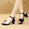 Women Fashion Black Comfort Summer Hollow Open Toe Square Heel Shoes Lady Spring Buckle Strap Open Toe Heels A9511